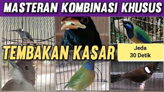 Masteran Kombinasi komplit Tembakan Kasar dengan jeda Suara air 30 detik !!