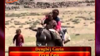 Dengbêj Gazin - Peyal Paşa Resimi
