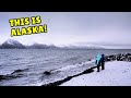 SEWARD, ALASKA: What to expect WINTER with KIDS | EXPLORE MILLER&#39;S LANDING | ALASKA SEALIFE CENTER