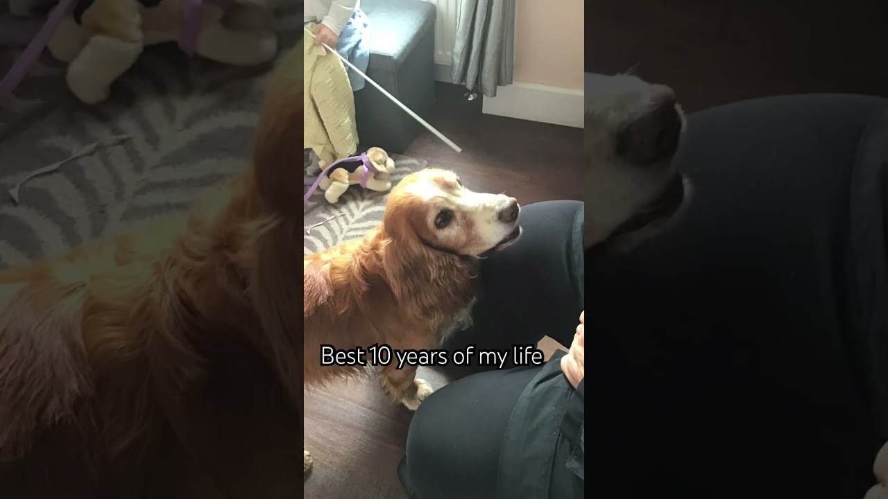 Ik he died 3 years ago but still miss him 