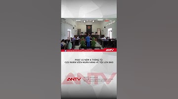 Phạt 15 năm 8 tháng tù cựu nhân viên ngân hàng về tội lừa đảo | ANTV #shorts