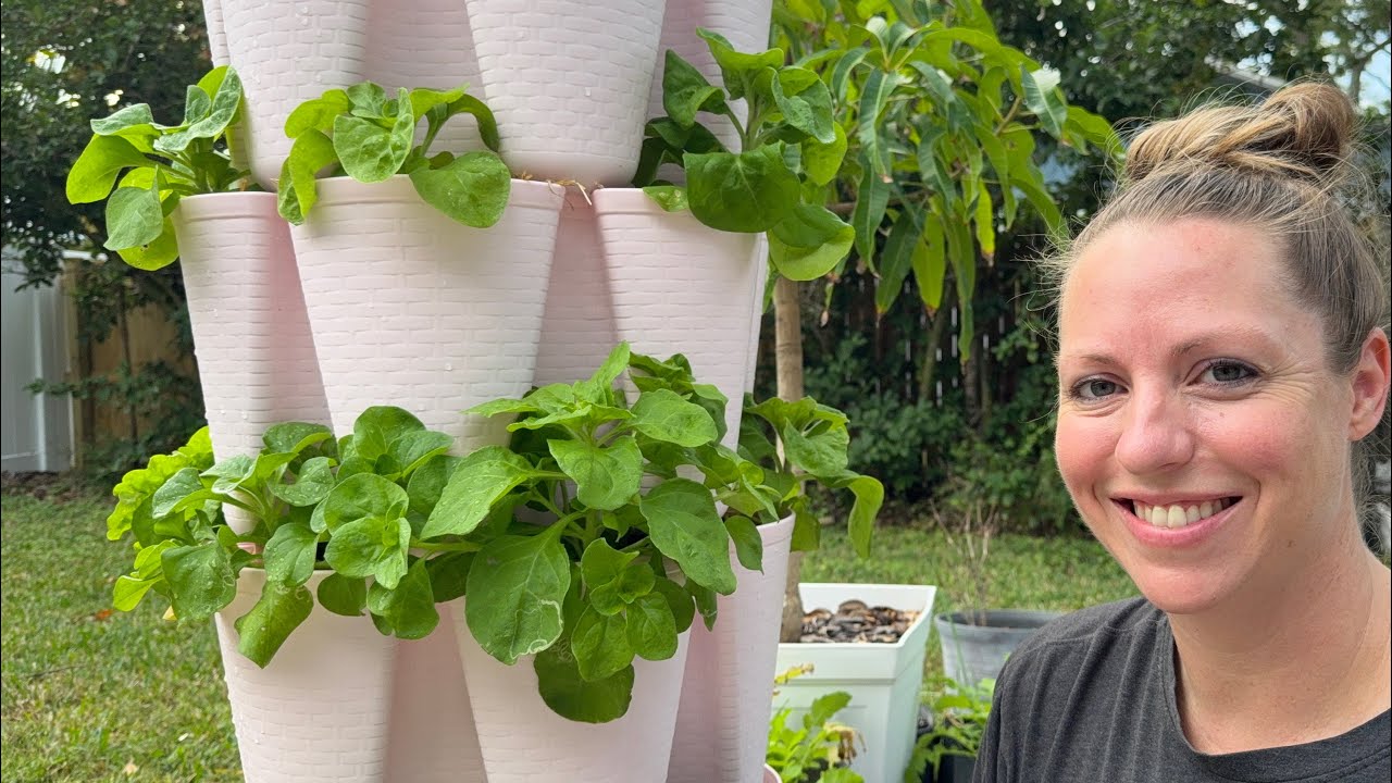 December garden tour and I made a salad with my little garden harvest :)