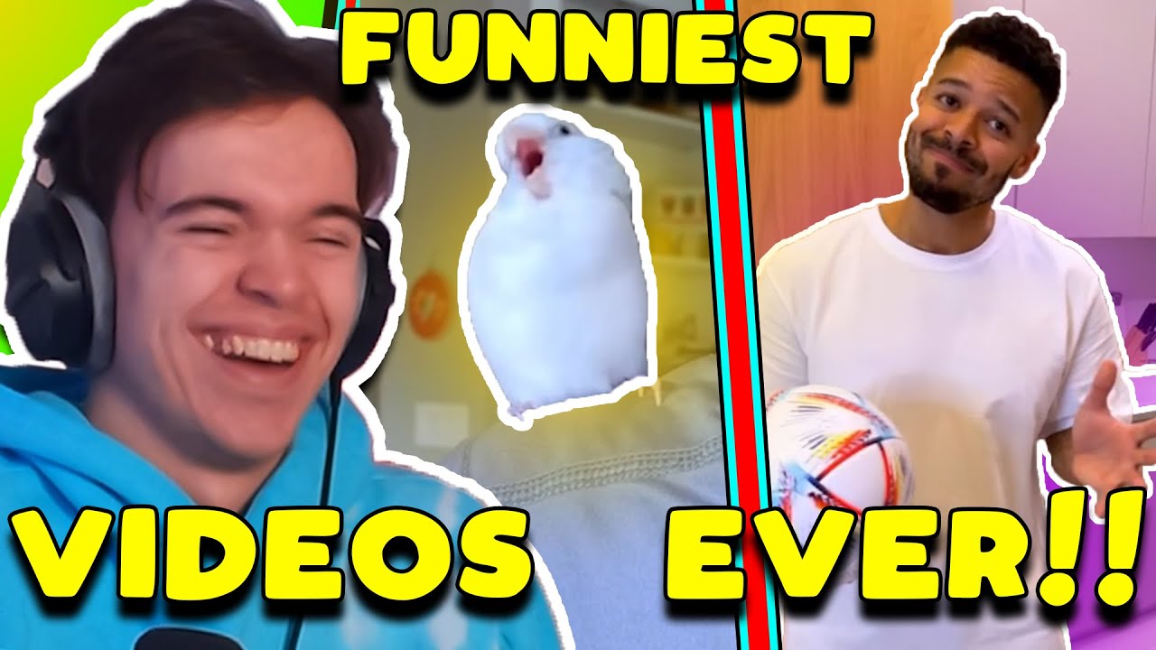FUNNIEST VIDEOS EVER! YouTube