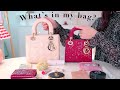 왓츠인마이백 👜 (레이디디올 스몰 vs 미니) What’s in my bag?