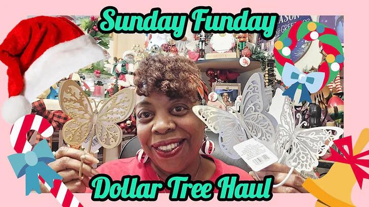 Sunday Funday Dollar Tree Haul.  #dollartree #dollartreenewfinds 