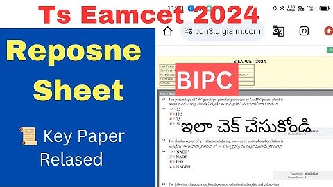 Ts Eamcet 2024 Bipc Response Sheet and Key Paper Released - ఇలా డౌన్లోడ్ చేసుకోండి, చెక్ చేసుకోండి