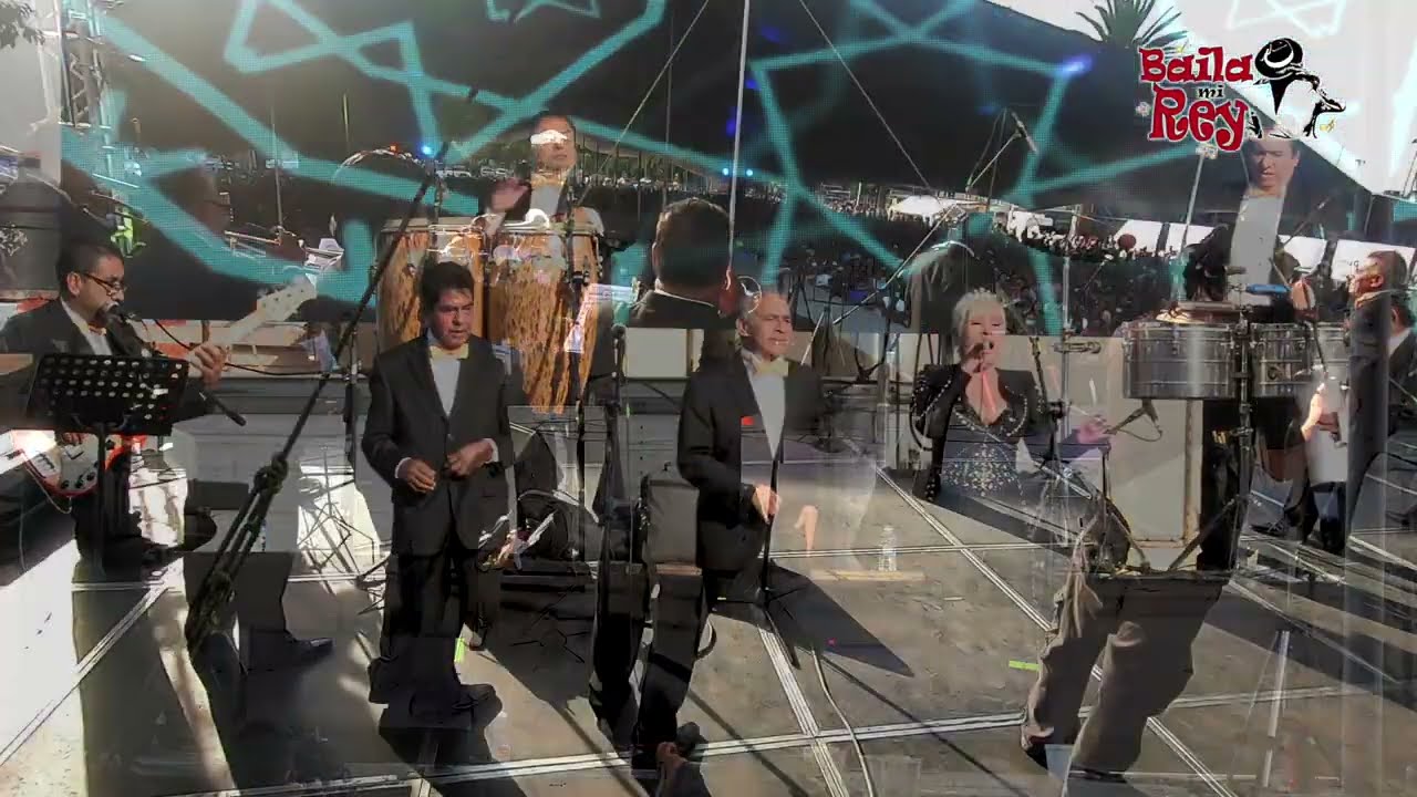 Me Muero Igual | Gatos All Star  con Nayeli en vivo