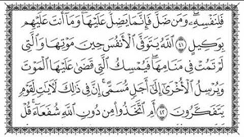 سورة الزمر للقارئ سعد الغامدي
