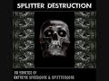 Dj Antitiesto - Wanked On The Moon[Splittertone Break Mix]