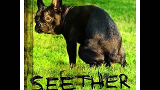 Blister - Seether