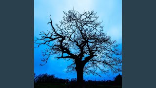 Download Lagu Timpani Tension MP3