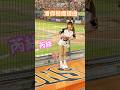 芮絲🧡潘傑楷應援曲🦁Hito潘傑楷一樣火力開📢 #unigirls #芮絲 #統一獅 #潘傑楷 2024.4.20