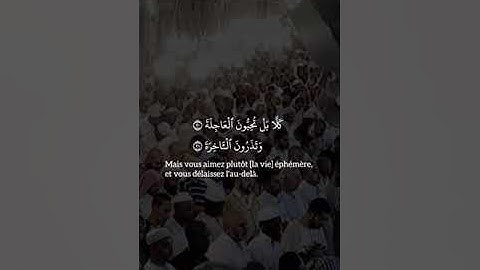 سورة القيامة تلاوة #سعود_الشريم #تلاوة_خاشعة #تلاوات #قران_كريم #اكسبلور  #قرآن #fy #fyp #quran