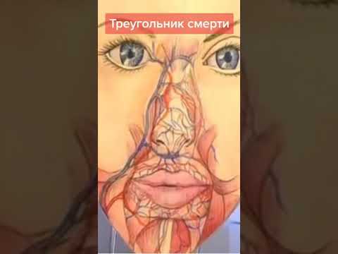 Где находятся у нас на лице зона которая называется треугольник смерти