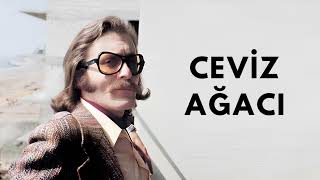 Cevi̇z Ağaci Cem Karaca