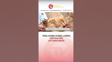 Bộ Y tế yêu cầu tăng cường phòng, chống cúm gia cầm lây sang người | Truyền hình Quốc Hội Việt Nam