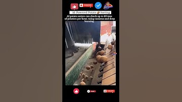 Potato sorting using AI #trending #trendingshorts #ytshorts #yttrending #artificialintelligence