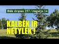 KALBĖK IR NETYLĖK!  -  BŪK DRĄSUS (257)