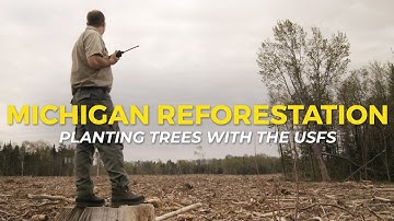 Reforestation in Michigan with the U.S. Forest Service | One Tree Planted