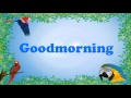 Teach your parrot to say good morning