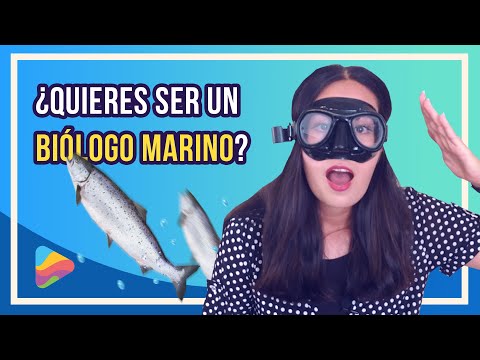 Video: ¿Quién acaba de especializarse en biología marina?