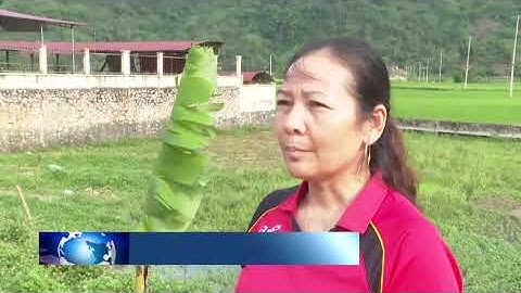 09-5 Tạp chí Tài nguyên Môi trường và cuộc sống. 