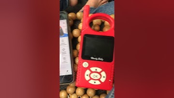 Program ID46 CHIP for NISSAN NAVARA 2011 by ODB mini