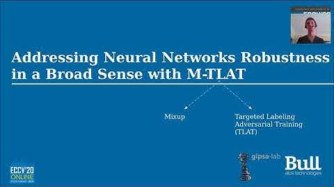 Paper 3: Addressing NN Robustness with Mixup and Targeted Labeling Adversarial Training, Atos France