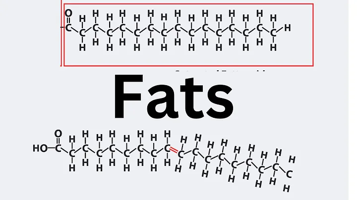 Intro to Saturated Fats, Unsaturated Fats, and Trans Fats