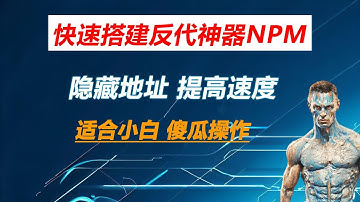 小白都能学会的反代神器NginxProxyManager搭建 可视化管理 功能强大