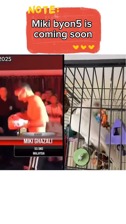 miki ghazali paqueta dance #byoncombat #boksing #hiburanrakyat