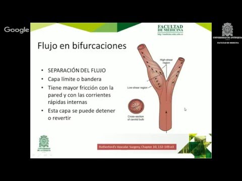 Fisiología Arterial