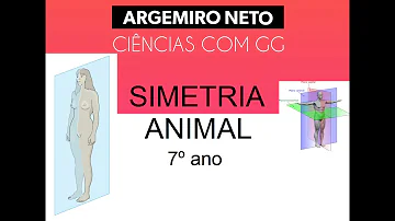 O que significa um animal ter simetria radial?