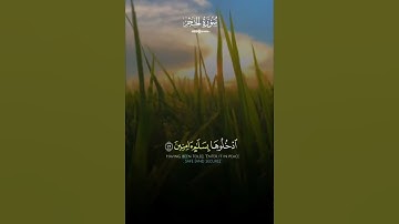 تلاوة خاشعة "إن المتقين في جنات وعيون" | خالد الجليل