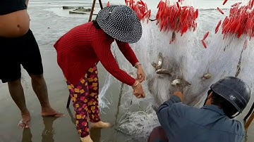 Gò Công đông biển Tân Thành P2