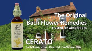 CERATO - Bach Flower Remedy