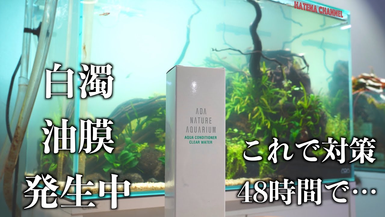 【初めての白濁り】ADAのクリアウォーターを添加　48時間経過でこうなる
