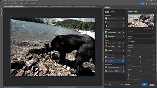 Adobe Photoshop Depth Blur (Beta)
