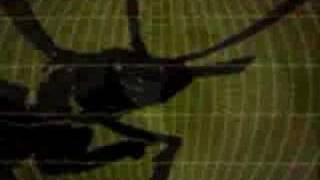 Darren Hayes Hero video