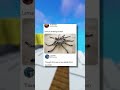 New spider dropped?!?! #shorts