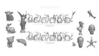 Perceptual Models of Preference in 3D Printing Direction screenshot 5