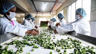 Frozen Okra/Lady's Finger Cut Fully Automated Complete Production Line