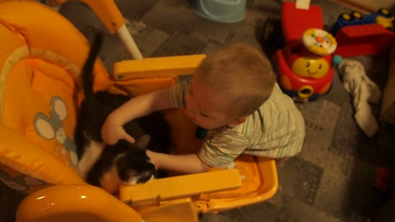 Сашка и кошки - YouTube