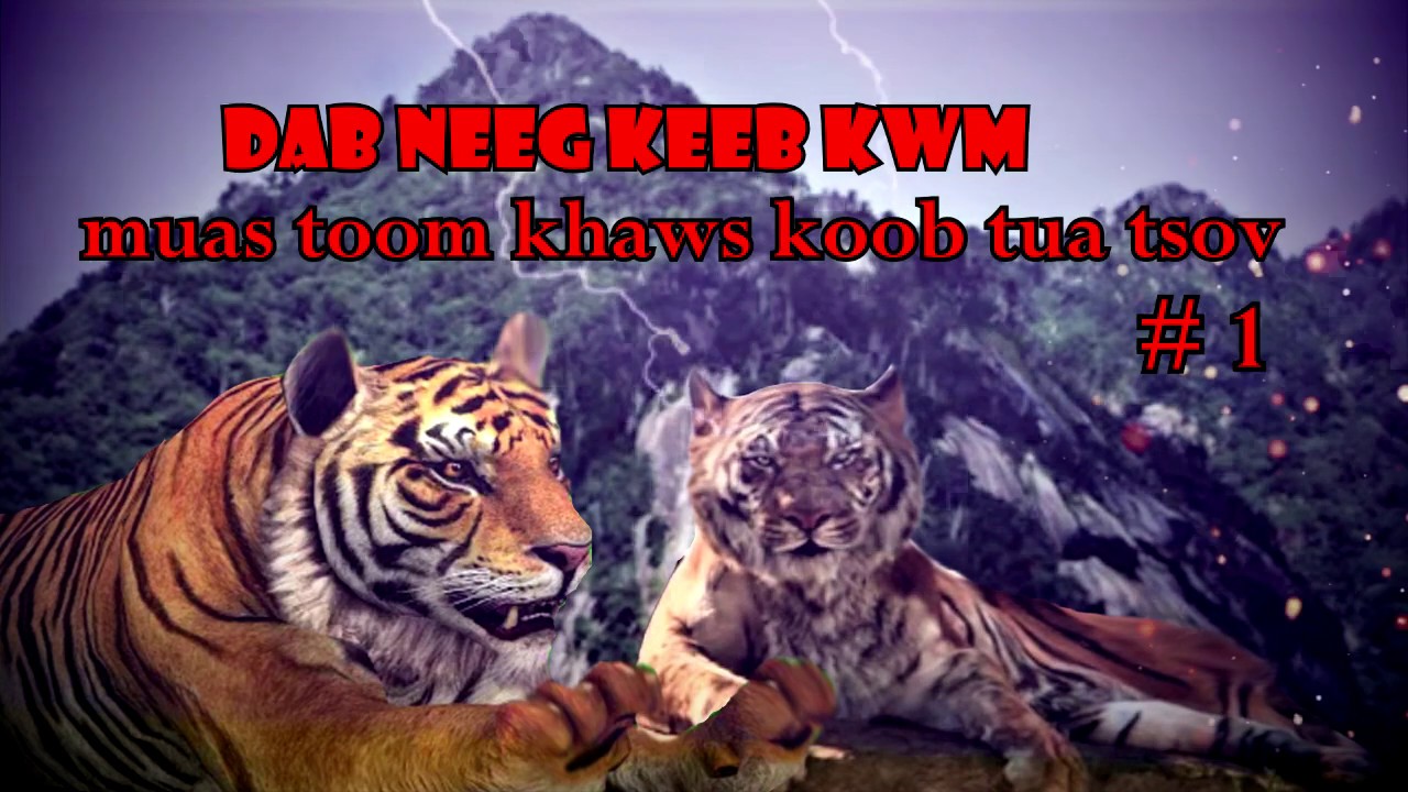 Muas toom khawv koob tua tsov ntu# 1