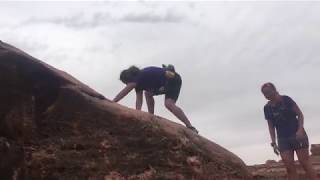 IMG 3575