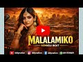Malalamiko Singeli Beat 2026 Instrumental 