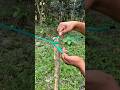 Strong Rope Knots Everyone Should Know | Easy Survival &amp; Camping Knots #knot #bamboo #knottutorial