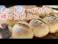 オートミールと全粒粉のミルクパン 隠し味は無敵練乳