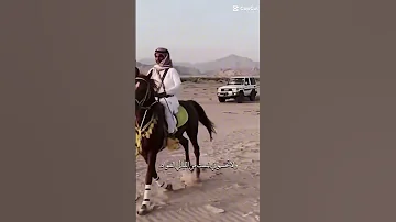 انا حفيد الاكابر حالات ستوريات شيلات تصميمي ترند اكسبلور مدح وفخر شمران 
