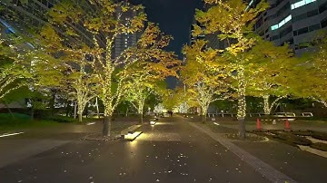 leem lut 2 nodes shad80 global 3 gama20 cont150 sat58  high  30 on secno sat60 high  30con30 on firs